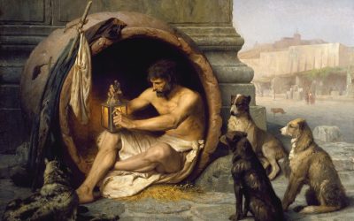 Philosophy Degree